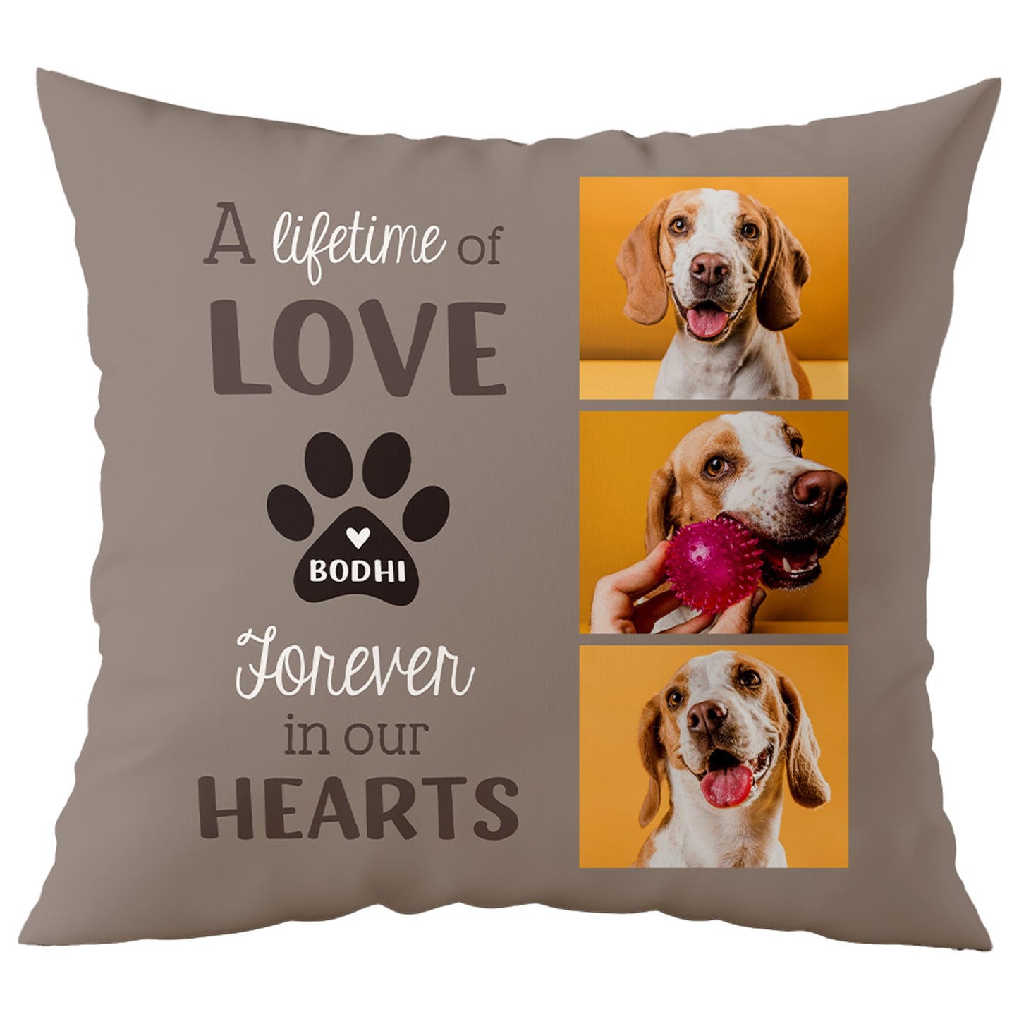 Custom Pillow - Pet Memorial Gifts for Dogs and Cats - Personalized Memorial Throw Pillow Remembrance Gift - USA Family Made with Love (16"x16")