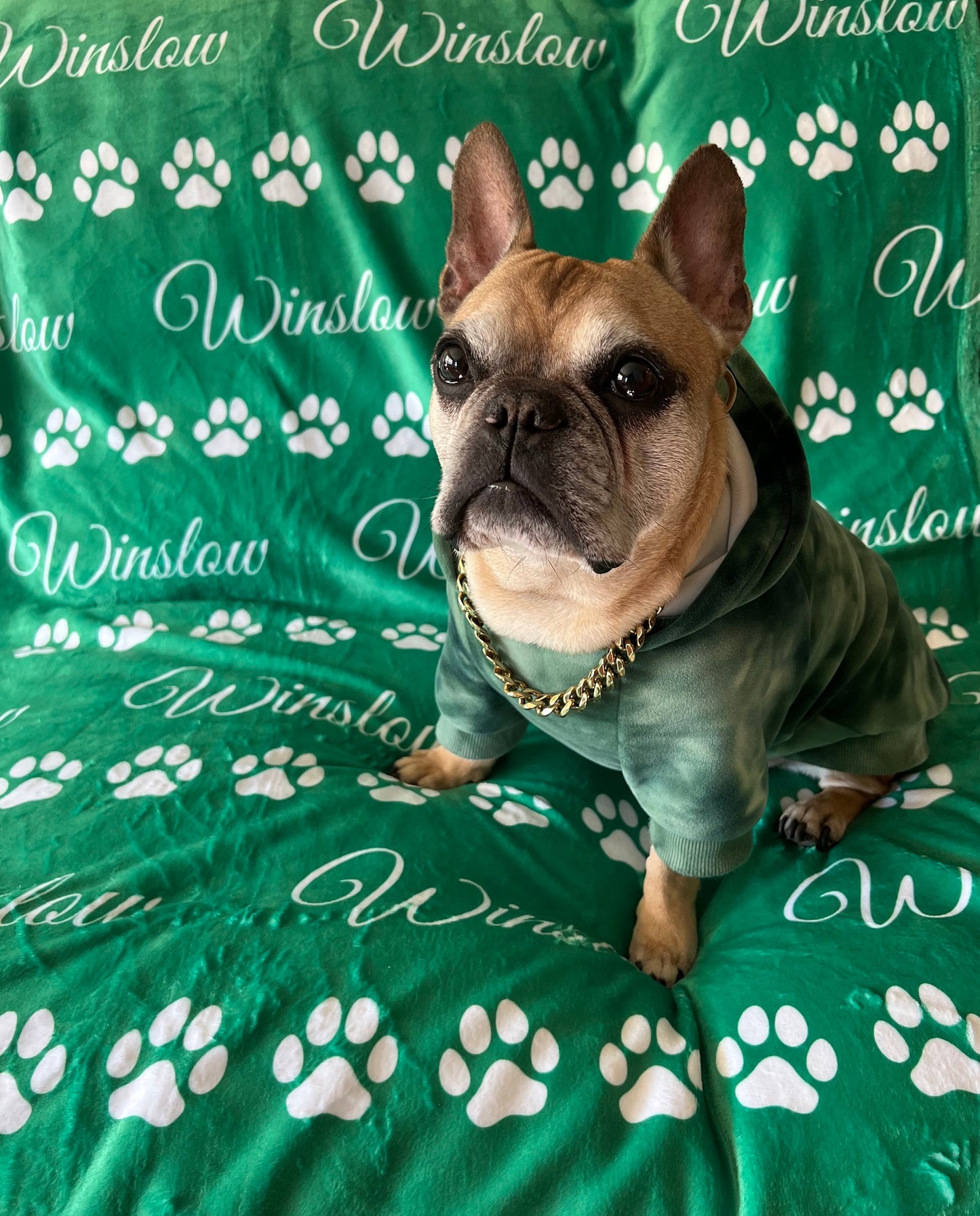 Personalized Blanket for Pets | Fleece Blanket with Name & Color of Your Choice | Pet Blankets, Gifts for Cats and Dogs w/ Paw Print