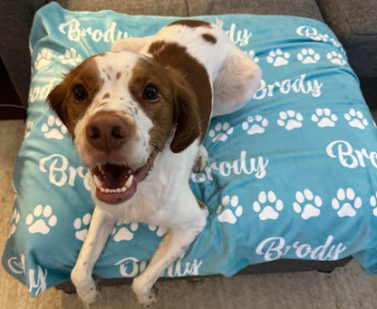 Personalized Name Blanket for Pets | Fleece Blanket with Name & Color of Your Choice | Christmas Gift for Cats and Dogs