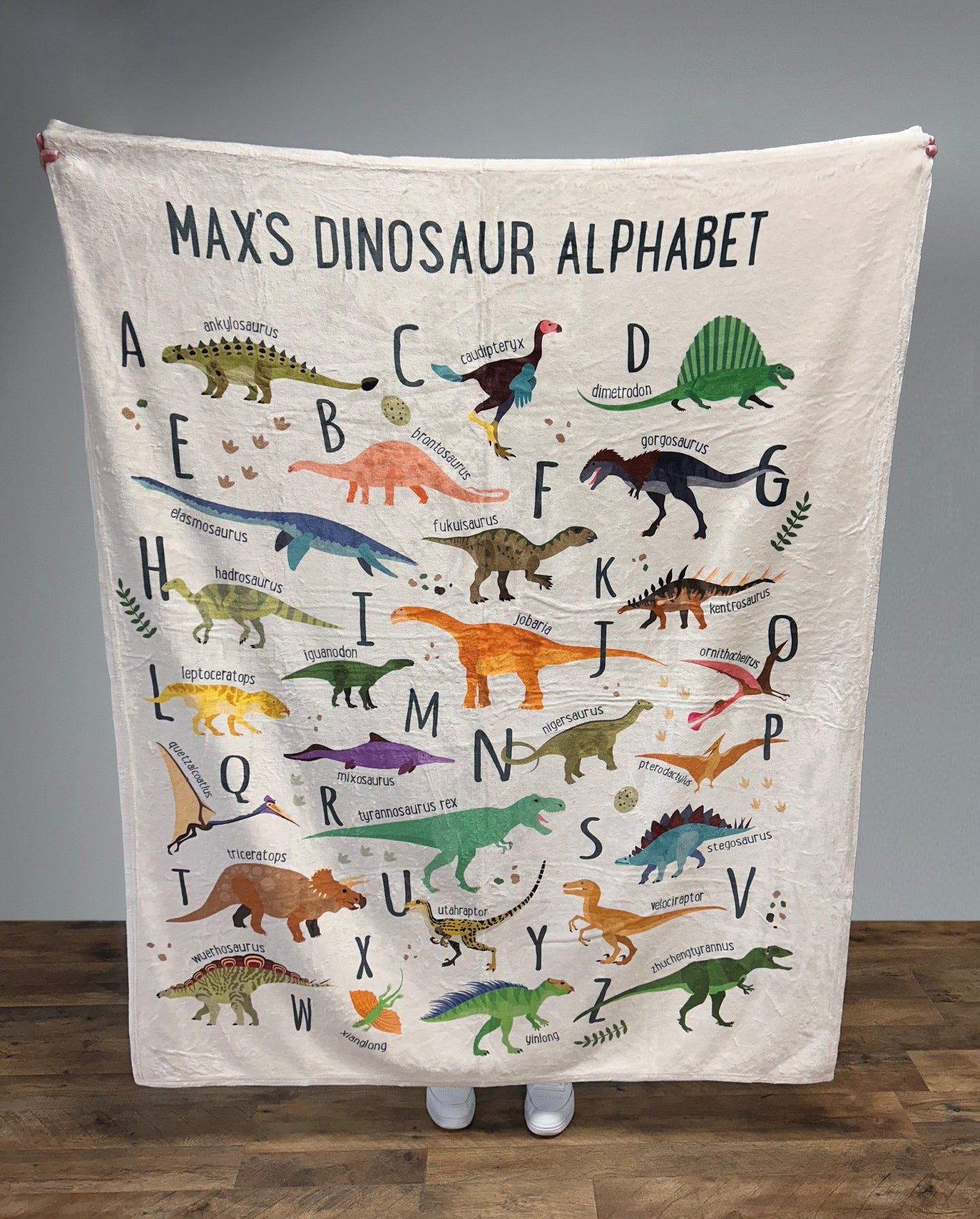 Personalized Kids Dinosaur Alphabet Blanket, Boy Blanket, Baby Blanket, Kids Blanket, Personalized Gift, Gift for Baby and Toddlers